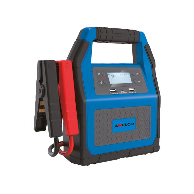 MISTER CHARGE 2500 12-24 V